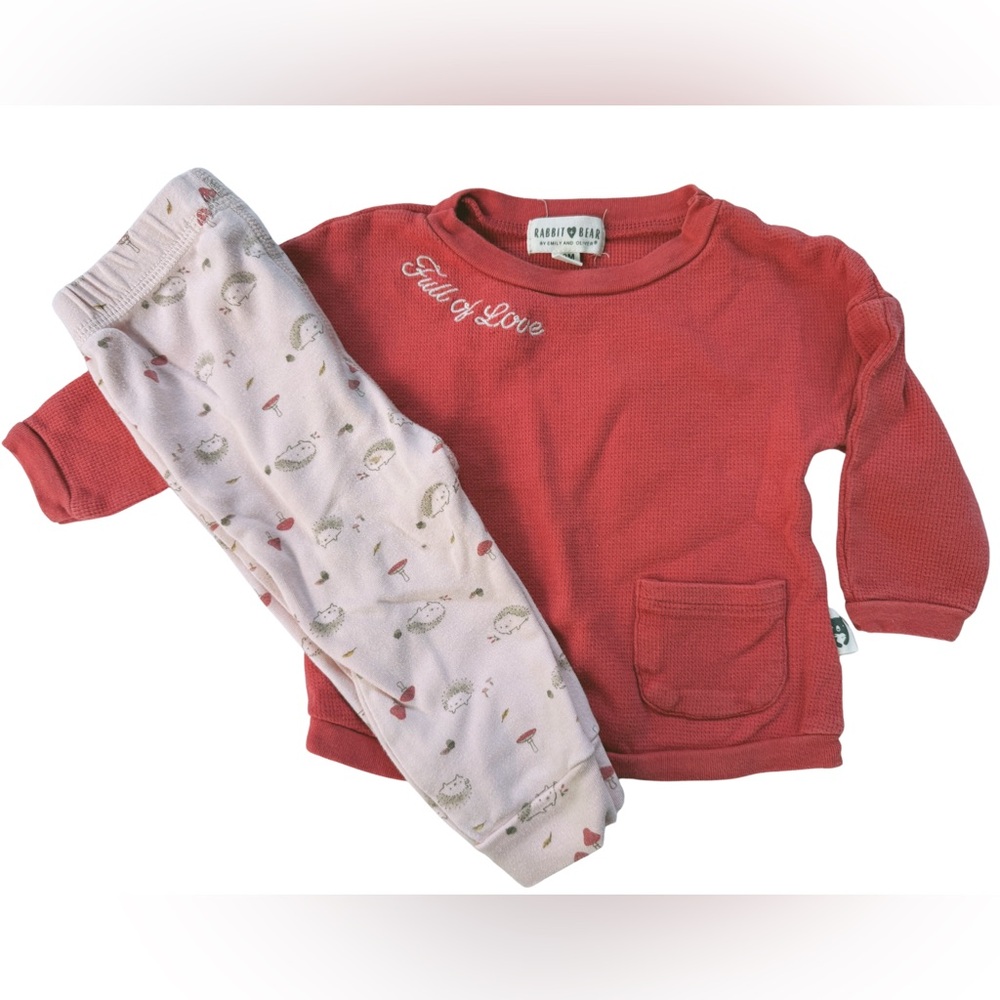 12M Rabbit Bear 2 piece outfit with hedgehogs and mushrooms